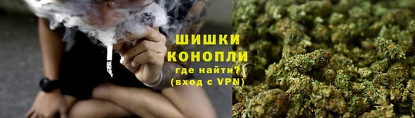 прущие грибы Ачинск